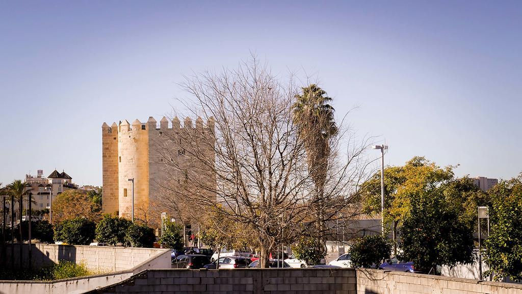 Apartamento La Calahorra Córdoba Eksteriør billede